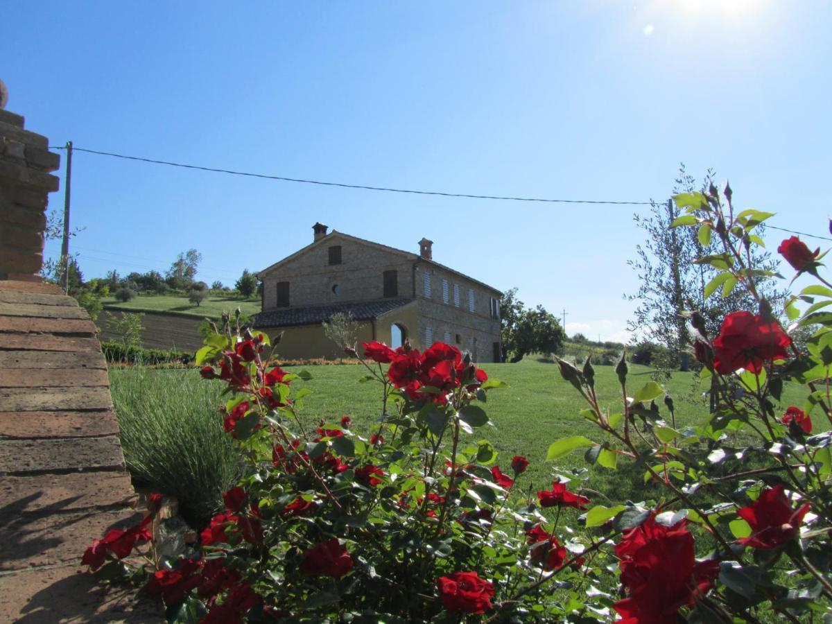 Agriturismo La Vecchia Fonte Castelbellino Εξωτερικό φωτογραφία