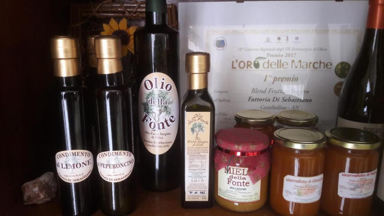 Agriturismo La Vecchia Fonte Castelbellino Εξωτερικό φωτογραφία