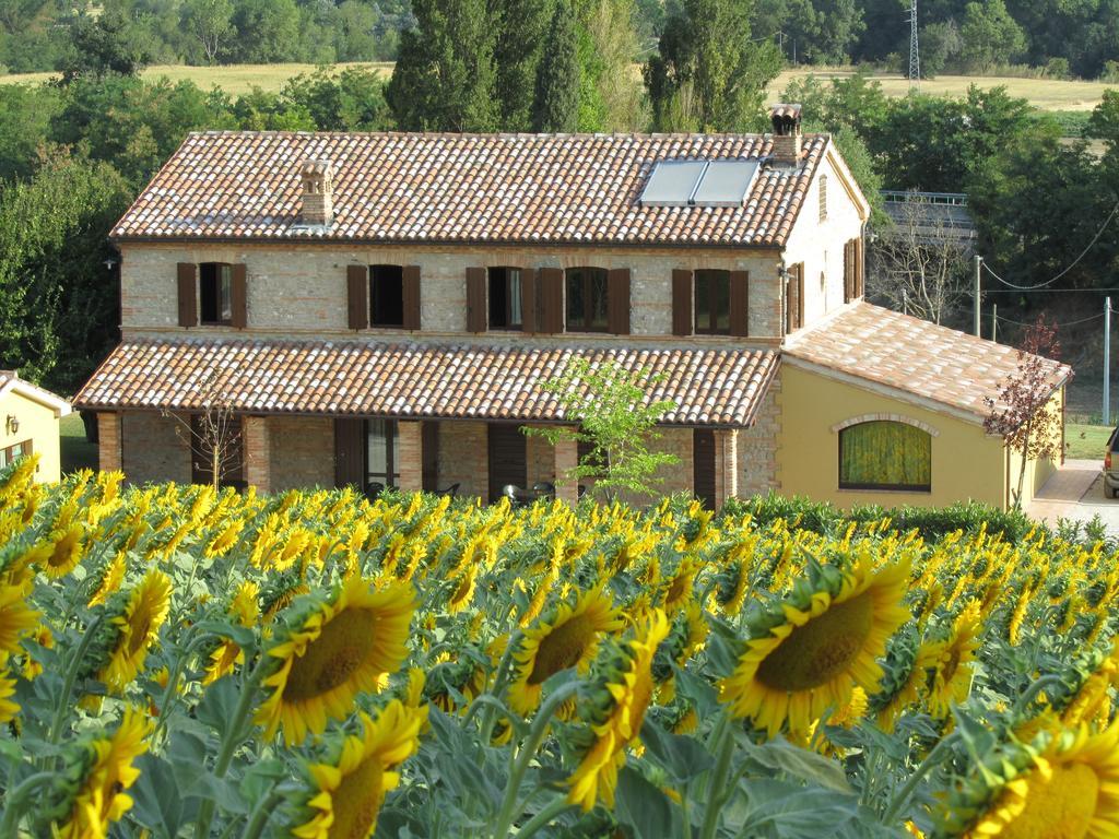 Agriturismo La Vecchia Fonte Castelbellino Εξωτερικό φωτογραφία